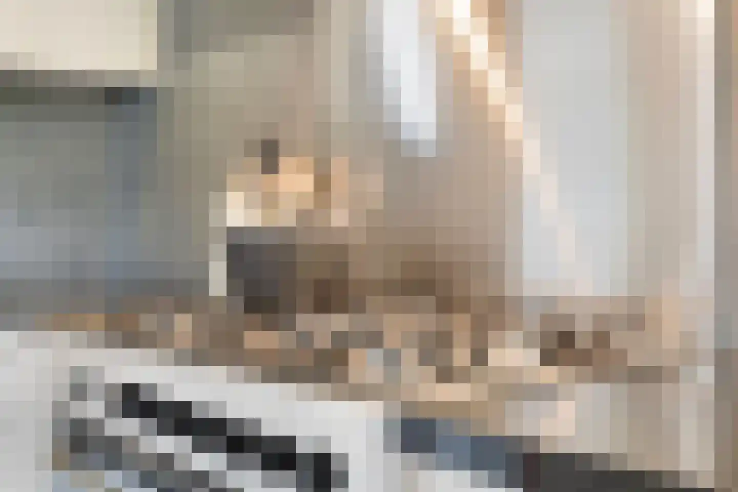 Cornelis Dopperlaan 46 Dieren thumbnail 15