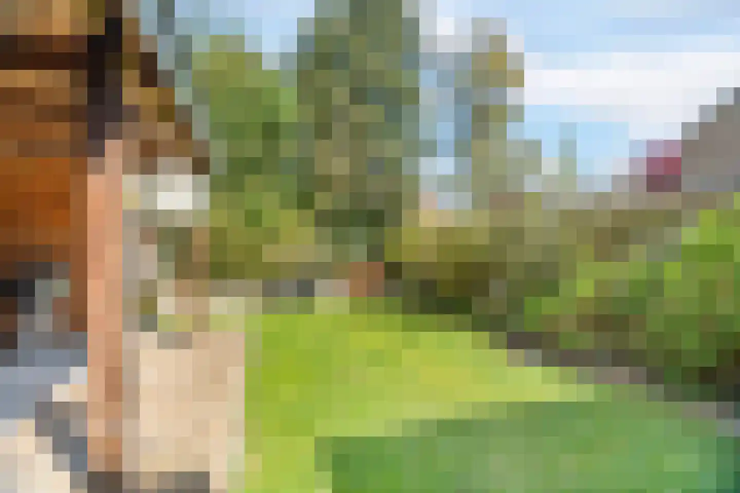 Cornelis Dopperlaan 46 Dieren thumbnail 38