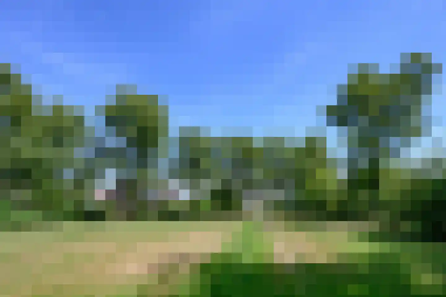 Cornelis Dopperlaan 46 Dieren thumbnail 4