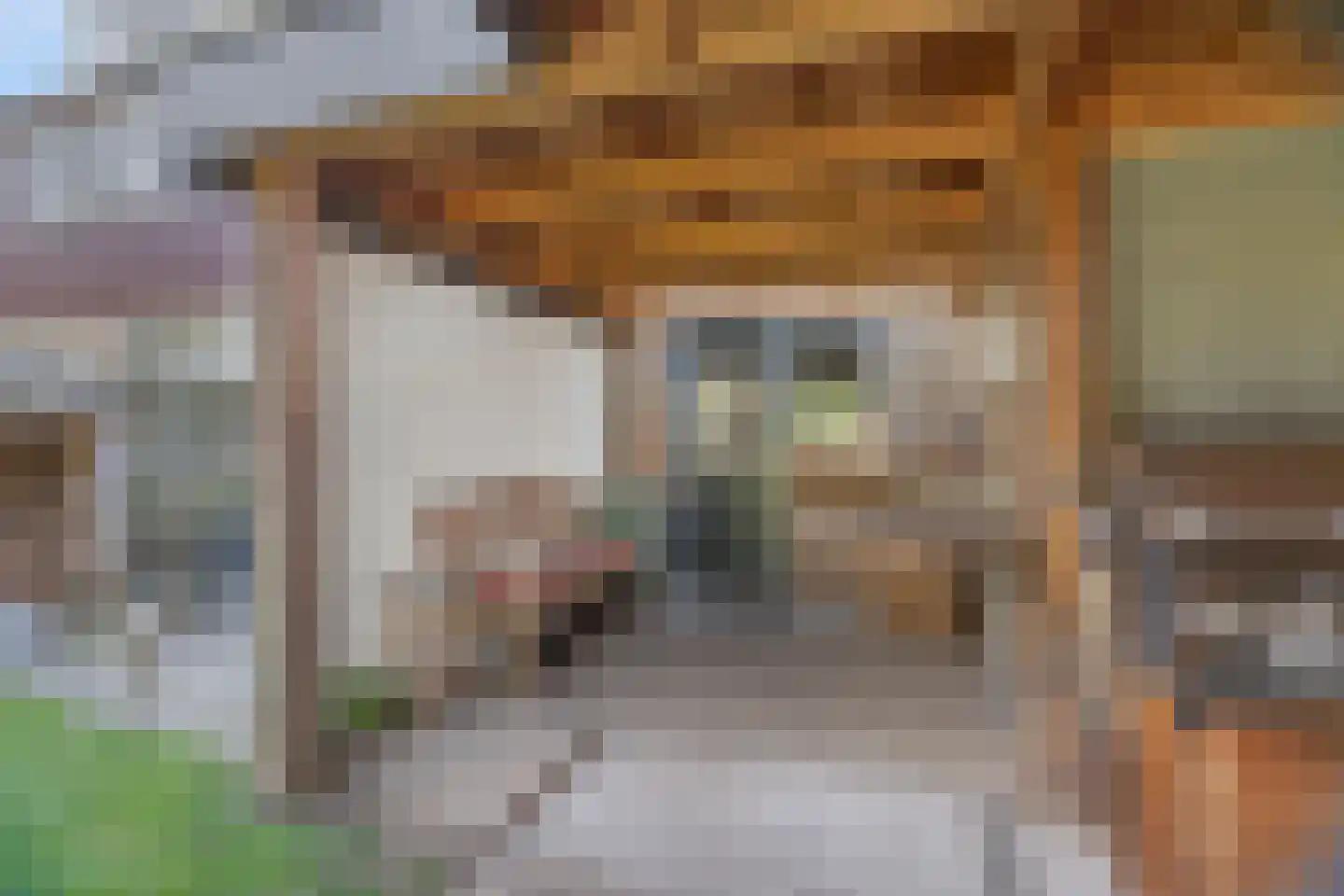 Cornelis Dopperlaan 46 Dieren thumbnail 41