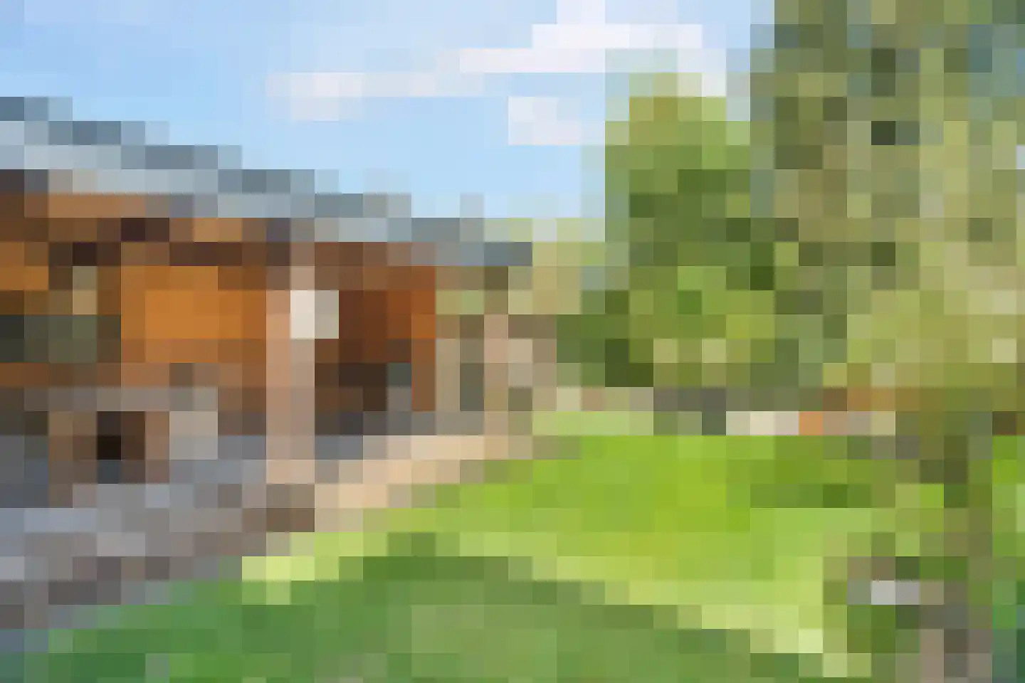 Cornelis Dopperlaan 46 Dieren thumbnail 42
