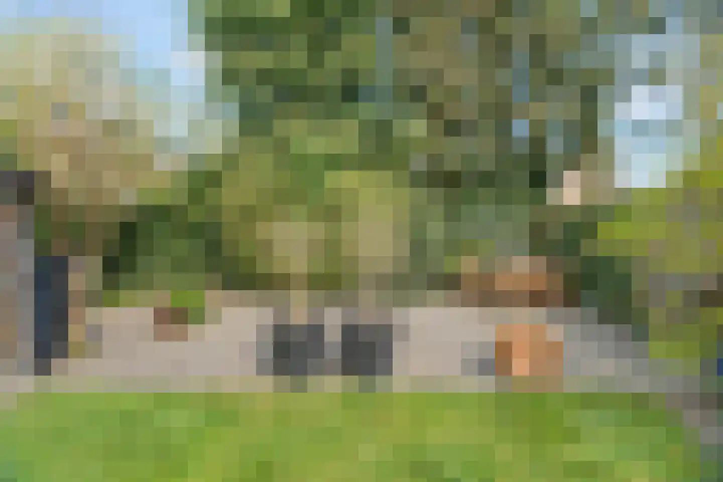 Cornelis Dopperlaan 46 Dieren thumbnail 43