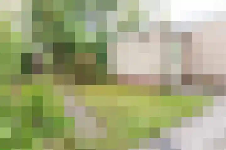 Cornelis Dopperlaan 7 Baarn thumbnail 17