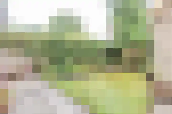 Cornelis Dopperlaan 7 Baarn thumbnail 18
