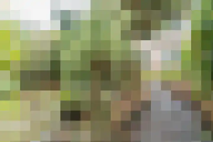 Cornelis Dopperlaan 7 Baarn thumbnail 19