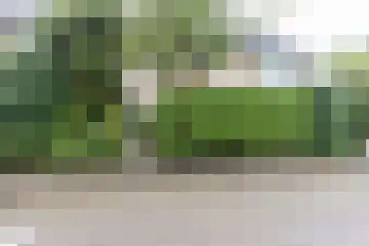 Cornelis Dopperlaan 7 Baarn thumbnail 20