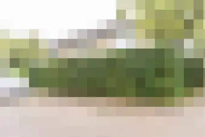 Cornelis Dopperlaan 7 Baarn thumbnail 21