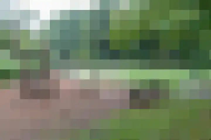 Cornelis Dopperlaan 7 Baarn thumbnail 22