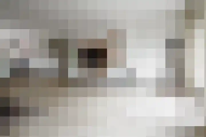 Cornelis Dopperstraat 102 Hengelo thumbnail 14