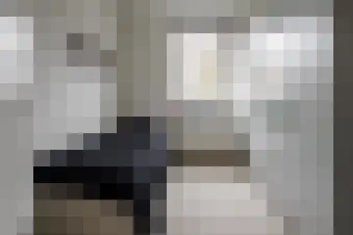Cornelis Dopperstraat 102 Hengelo thumbnail 25