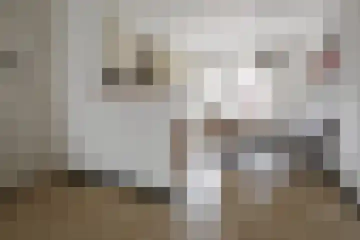 Cornelis Dopperstraat 102 Hengelo thumbnail 4