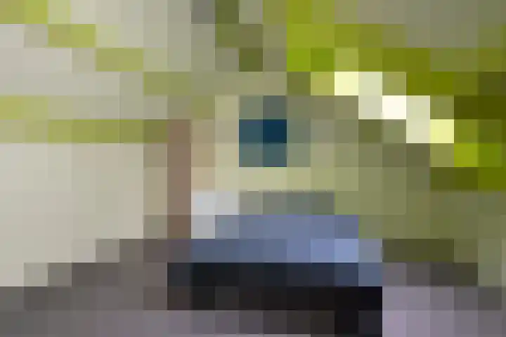 Cornelis Dopperstraat 112 Hengelo thumbnail 24