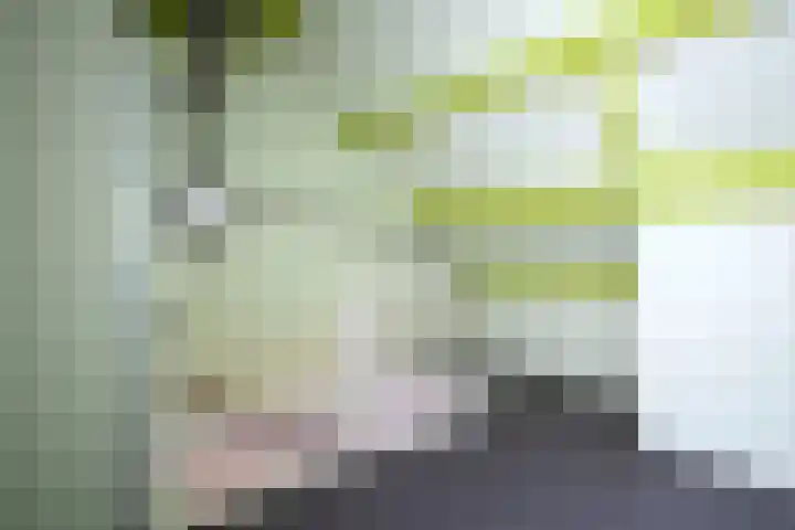 Cornelis Dopperstraat 112 Hengelo thumbnail 26