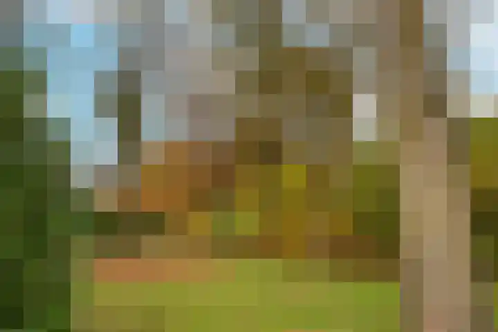 Cornelis Dopperstraat 112 Hengelo thumbnail 33