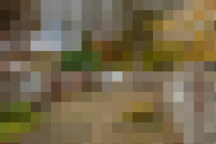 Cornelis Dopperstraat 112 Hengelo thumbnail 4