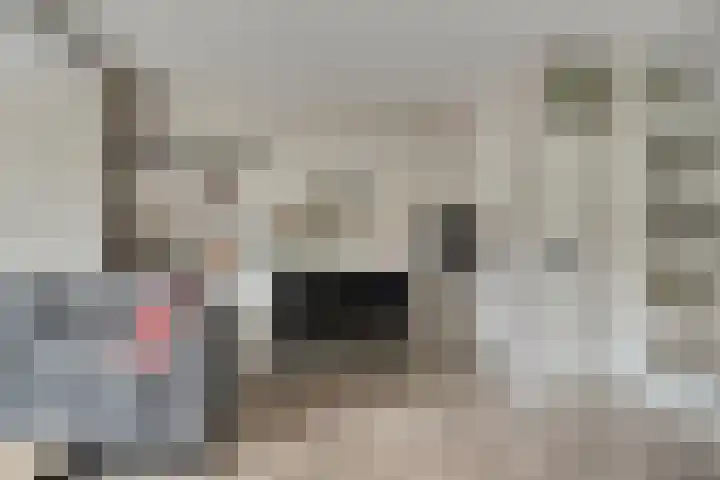 Cornelis Dopperstraat 122 Hengelo thumbnail 12