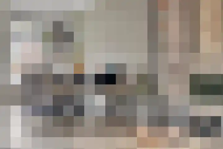Cornelis Dopperstraat 122 Hengelo thumbnail 13