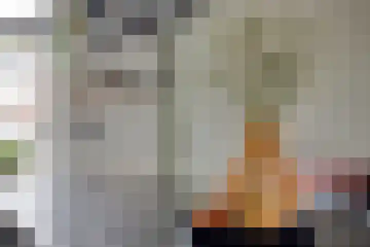 Cornelis Dopperstraat 122 Hengelo thumbnail 15