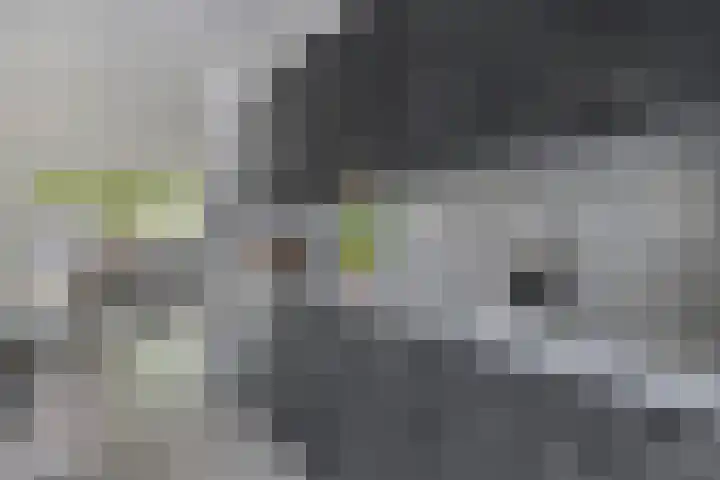 Cornelis Dopperstraat 122 Hengelo thumbnail 19