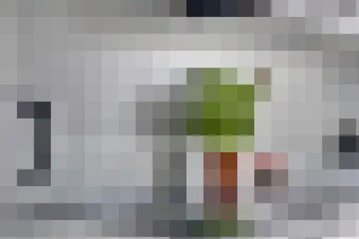 Cornelis Dopperstraat 122 Hengelo thumbnail 20