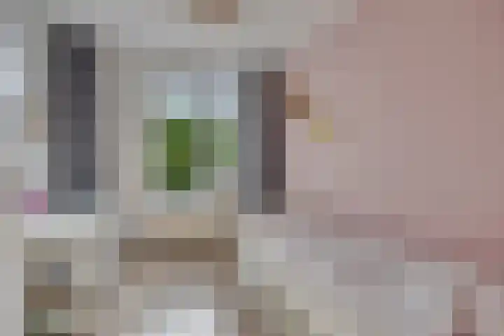 Cornelis Dopperstraat 122 Hengelo thumbnail 27