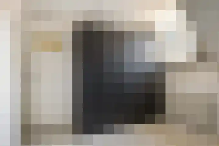 Cornelis Dopperstraat 13 Eindhoven thumbnail 12