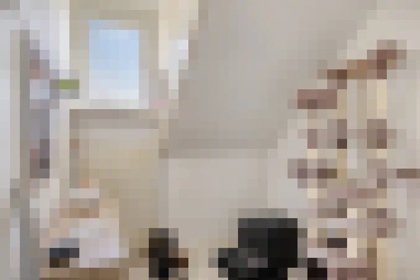 Cornelis Dopperstraat 13 Eindhoven thumbnail 13