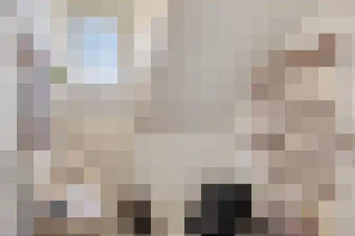 Cornelis Dopperstraat 13 Eindhoven thumbnail 13