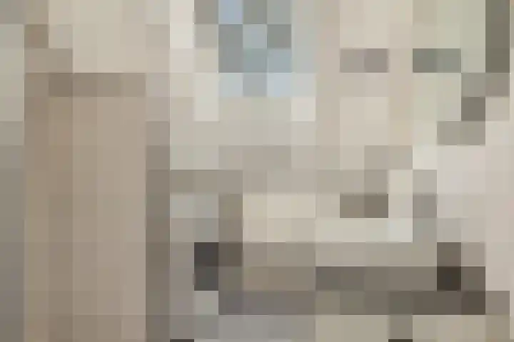 Cornelis Dopperstraat 13 Eindhoven thumbnail 14
