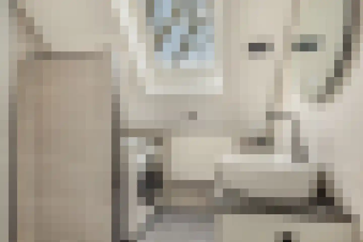 Cornelis Dopperstraat 13 Eindhoven thumbnail 14
