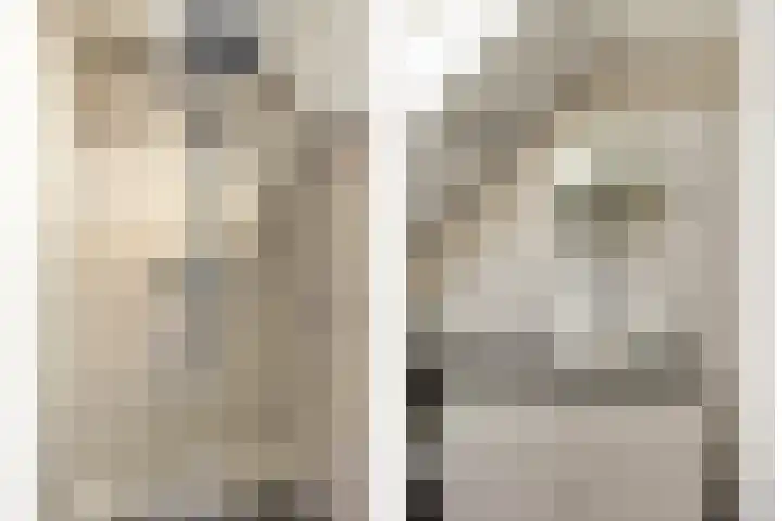 Cornelis Dopperstraat 13 Eindhoven thumbnail 15