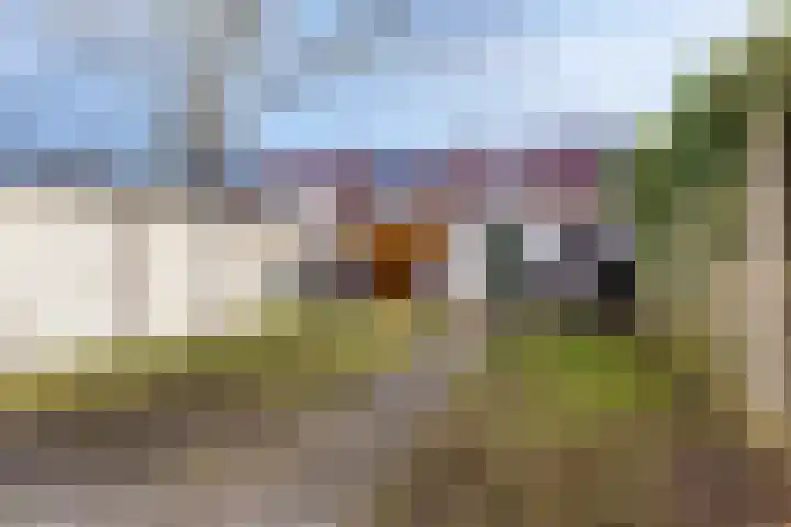 Cornelis Dopperstraat 13 Eindhoven thumbnail 16