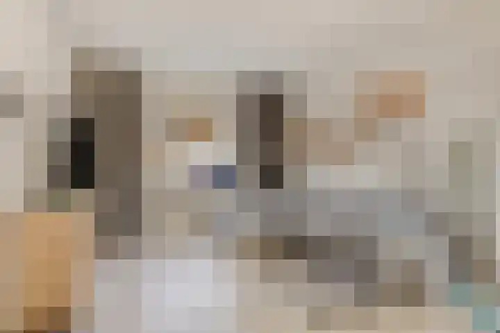 Cornelis Dopperstraat 13 Eindhoven thumbnail 4