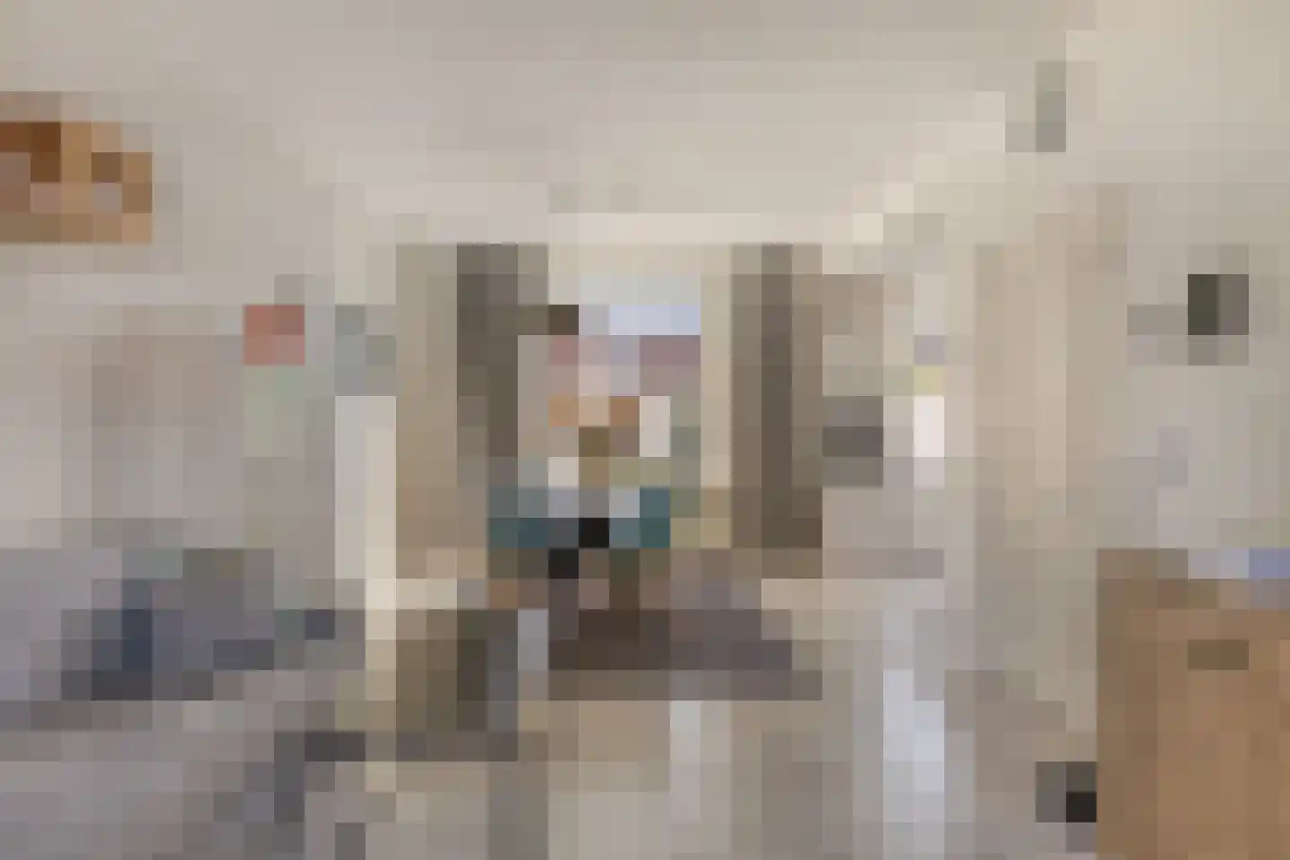 Cornelis Dopperstraat 13 Eindhoven thumbnail 5