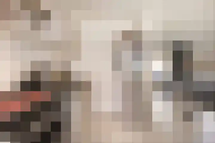 Cornelis Dopperstraat 13 Eindhoven thumbnail 8