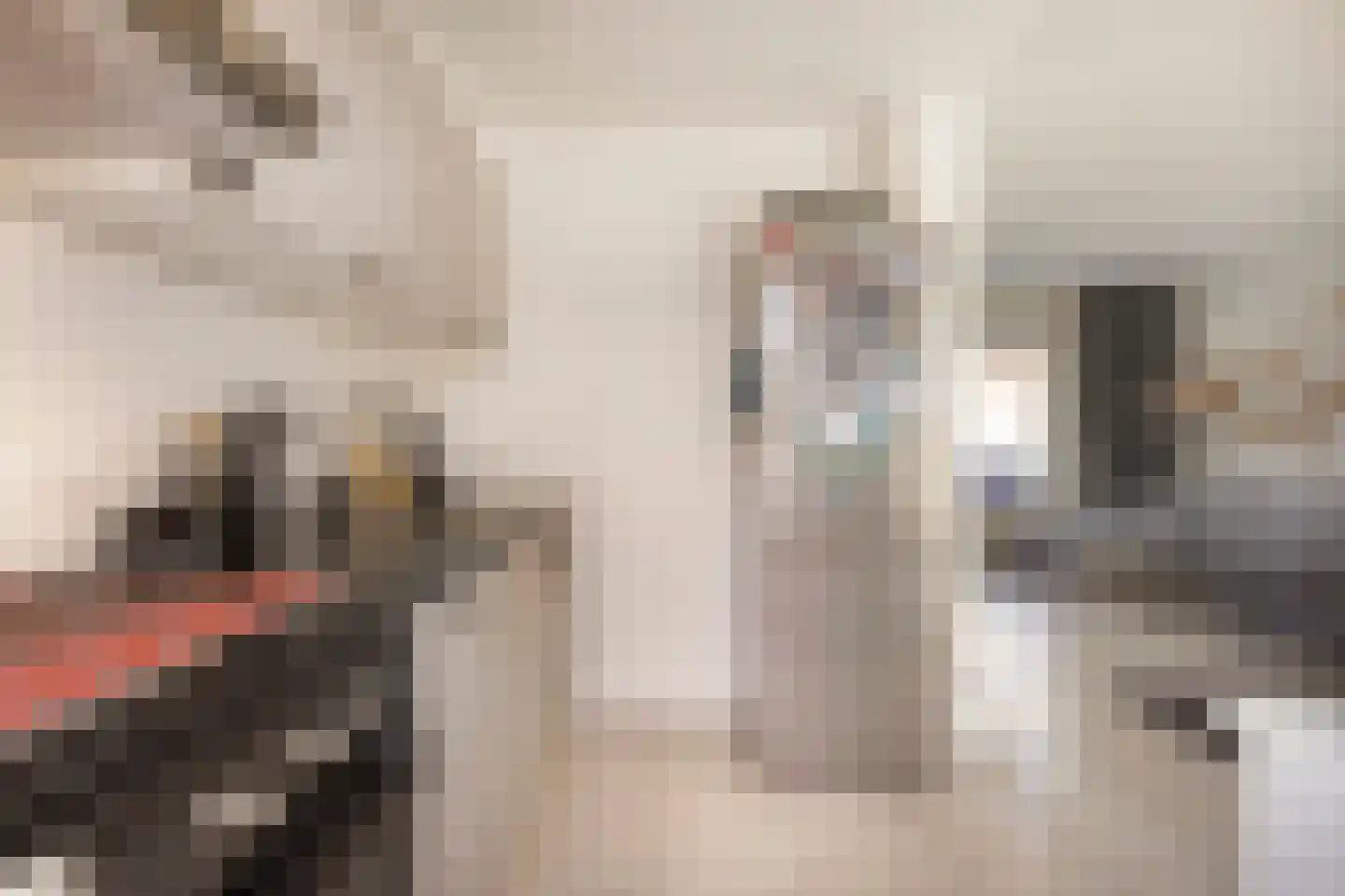 Cornelis Dopperstraat 13 Eindhoven thumbnail 8