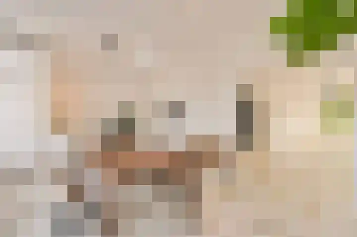 Cornelis Dopperstraat 14 Eindhoven thumbnail 10