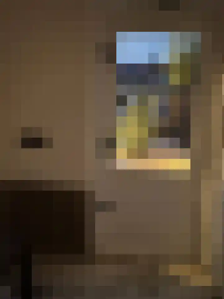 Cornelis Dopperstraat 14 Eindhoven thumbnail 14