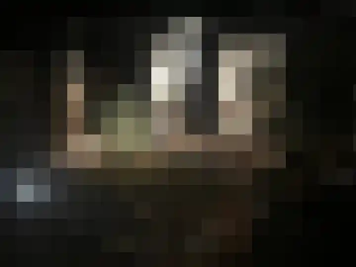Cornelis Dopperstraat 14 Eindhoven thumbnail 19
