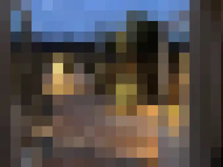 Cornelis Dopperstraat 14 Eindhoven thumbnail 20
