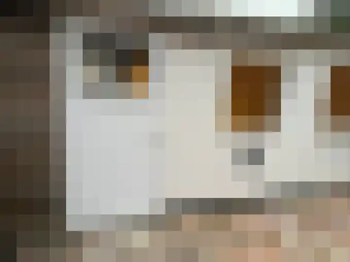 Cornelis Dopperstraat 14 Eindhoven thumbnail 21