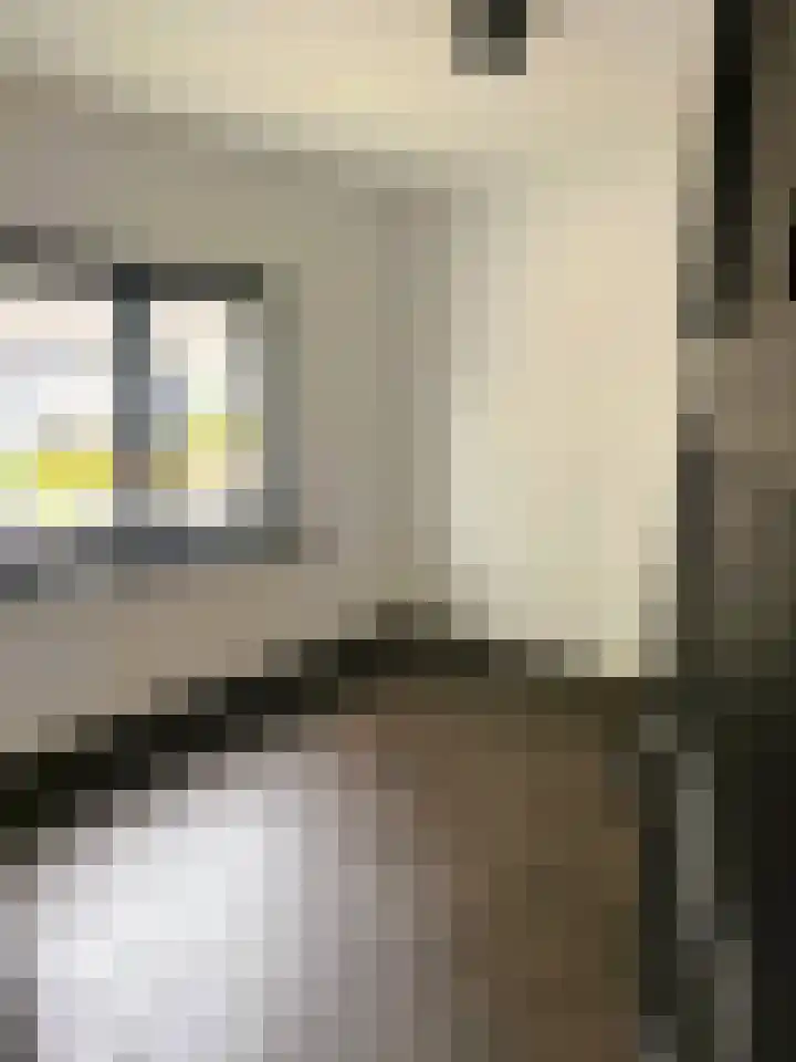 Cornelis Dopperstraat 14 Eindhoven thumbnail 25