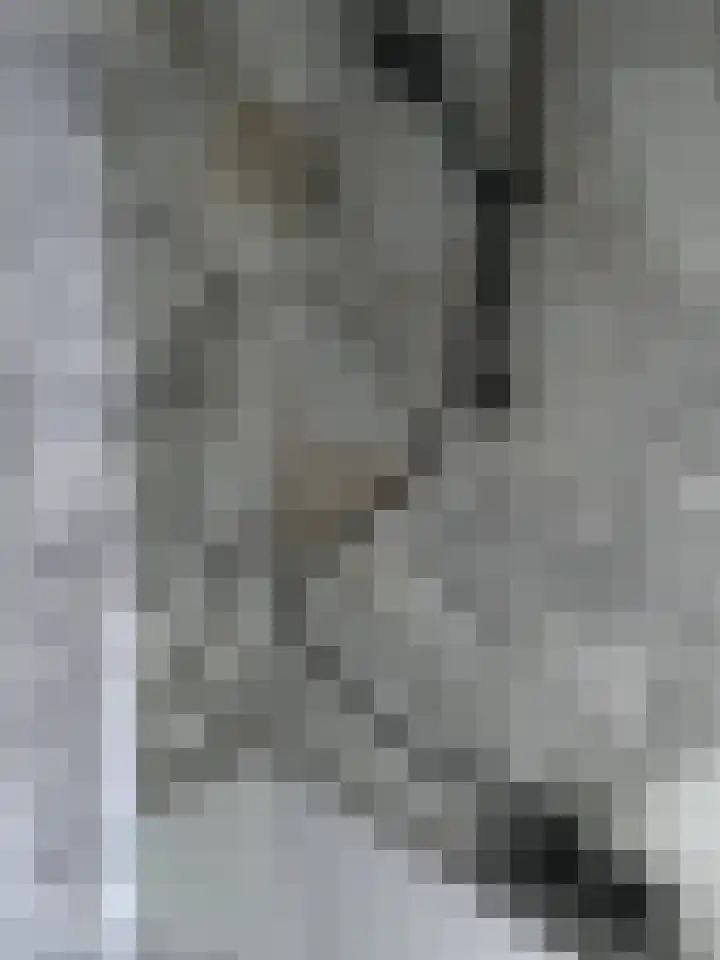 Cornelis Dopperstraat 14 Eindhoven thumbnail 29