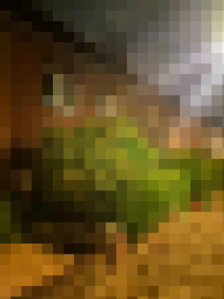 Cornelis Dopperstraat 14 Eindhoven thumbnail 5