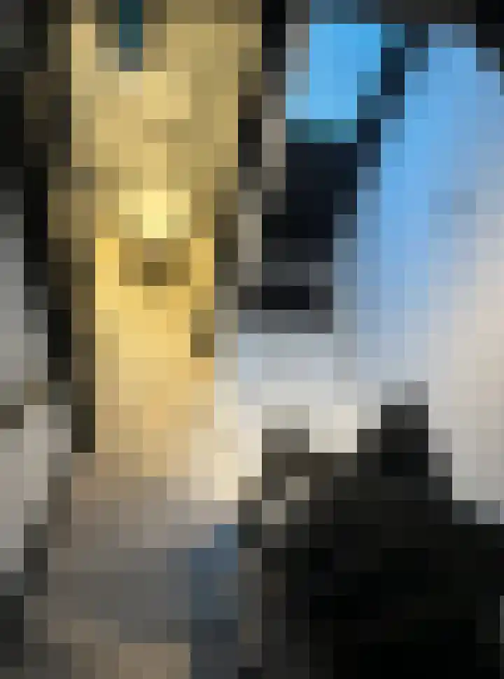 Cornelis Dopperstraat 14 Eindhoven thumbnail 7