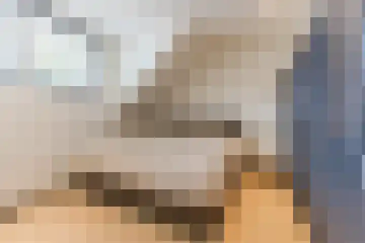 Cornelis Dopperstraat 17 Eindhoven thumbnail 17