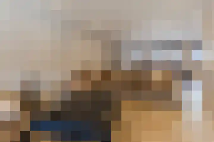 Cornelis Dopperstraat 17 Eindhoven thumbnail 32