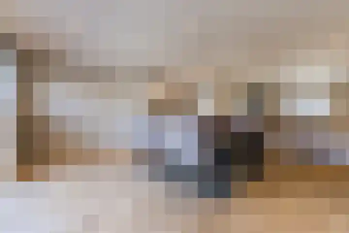 Cornelis Dopperstraat 17 Eindhoven thumbnail 9