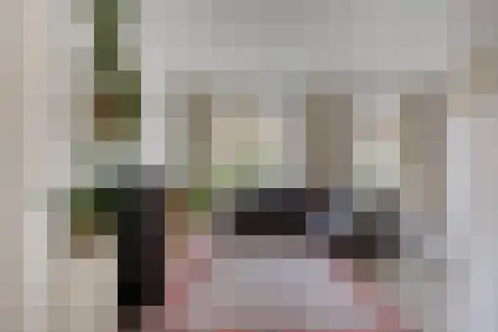 Cornelis Dopperstraat 26 Eindhoven thumbnail 11