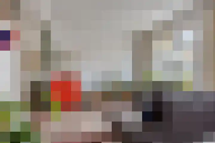 Cornelis Dopperstraat 26 Eindhoven thumbnail 12